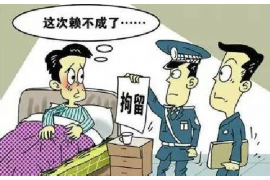 宜川融资清欠服务